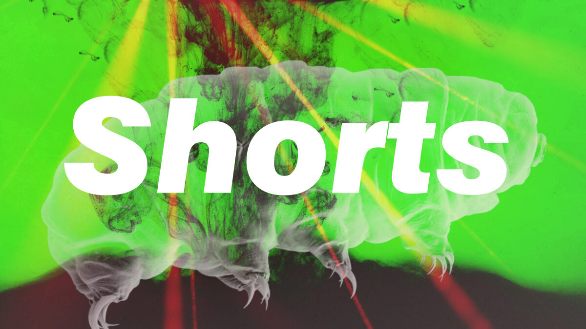 Claude-Mem přidává paměť do Claude Code